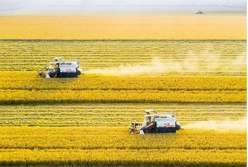 麻城市2022年GDP分析 與百強縣的距離及農牧飼料產業發展