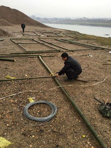 中國(guó)漁業(yè)政務(wù)網(wǎng) 畜牧漁業(yè)飼料銷售與管理的數(shù)字化平臺(tái)