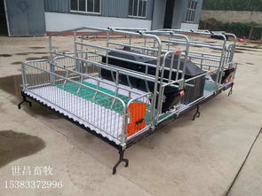 優(yōu)質(zhì)雙體母豬產(chǎn)床 提升養(yǎng)豬場(chǎng)管理效率的通用解決方案