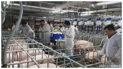 273.32億元，增長(zhǎng)5.4% 畜牧漁業(yè)飼料銷售穩(wěn)健增長(zhǎng)的動(dòng)力與展望