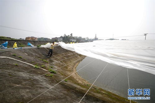 疏通產(chǎn)業(yè)鏈堵點(diǎn)，保障“菜籃子”供應(yīng)——重慶養(yǎng)殖大區(qū)力促養(yǎng)殖業(yè)補(bǔ)損復(fù)產(chǎn)與飼料銷售暢通