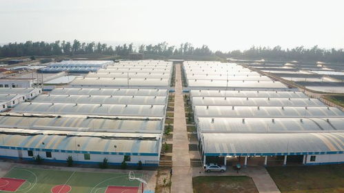 年銷售額達(dá)1.2億元，海威科技以創(chuàng)新引擎驅(qū)動(dòng)水產(chǎn)種業(yè)振興